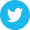 icon-share-twitter